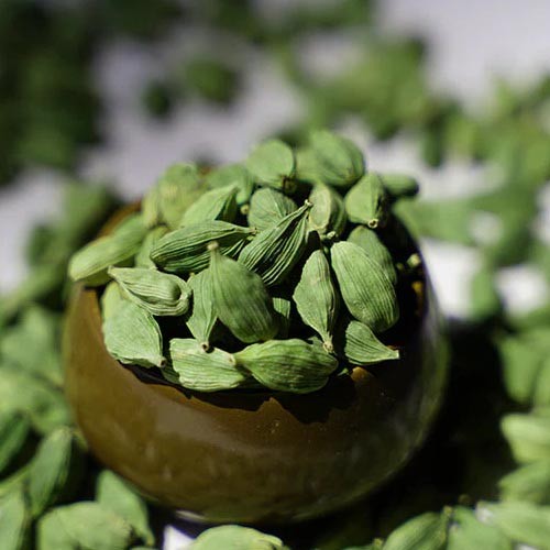 Biggest Green Cardamom Wholesaler in Karnataka